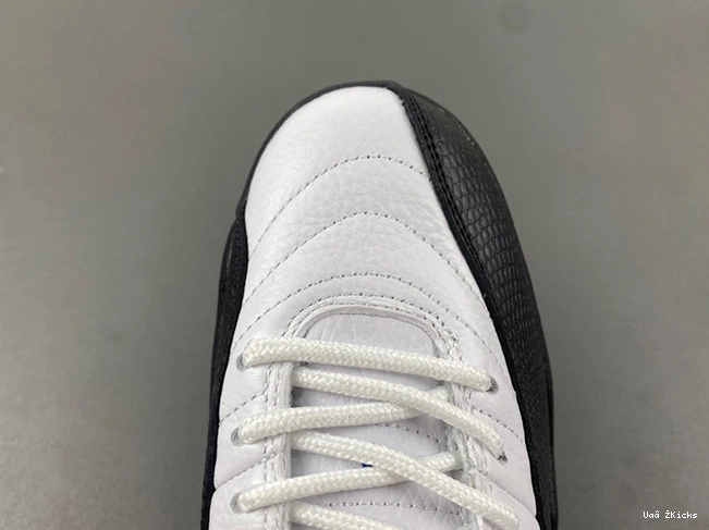 Jordan Trendsetting 12 CT8013- Air 3860 732 0618